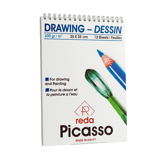 Picasso sketch drawing 25x35